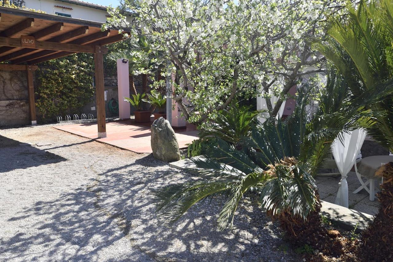 Villa Fiore Apartments Portoferraio Ngoại thất bức ảnh